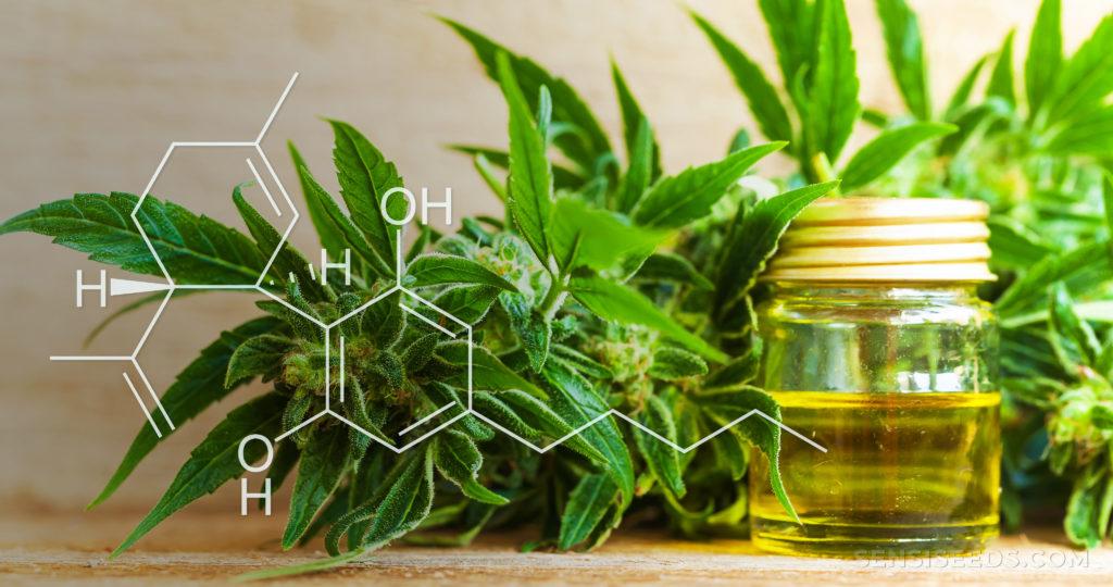 Comment se procurer du CBD ?