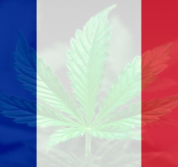 Comment se procurer du CBD en France ?