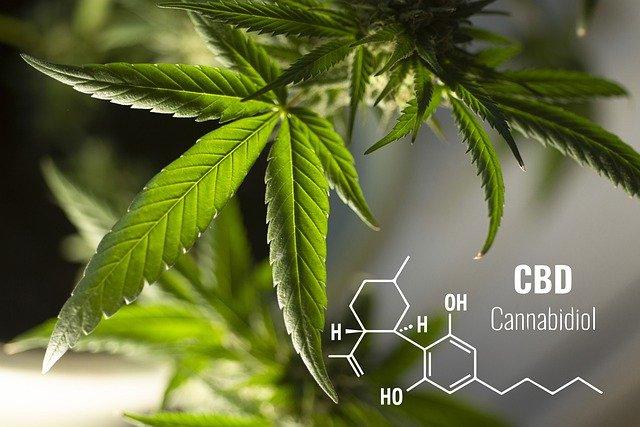 Est-ce que le CBD est autorisé en France ?