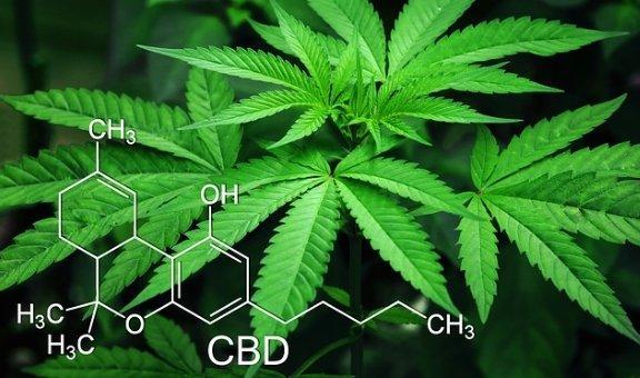 Où trouver du cbd en France ?