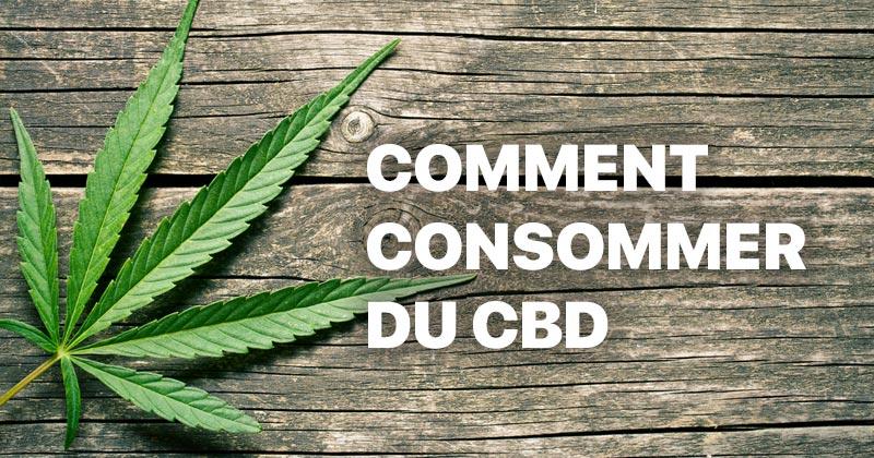 Qui est autorisé à vendre du CBD ?