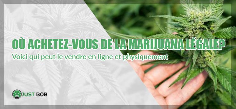 Qui peut produire du CBD en France ?