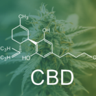 cbd-pour-le-traitement-des-migraines-lequel-consommer