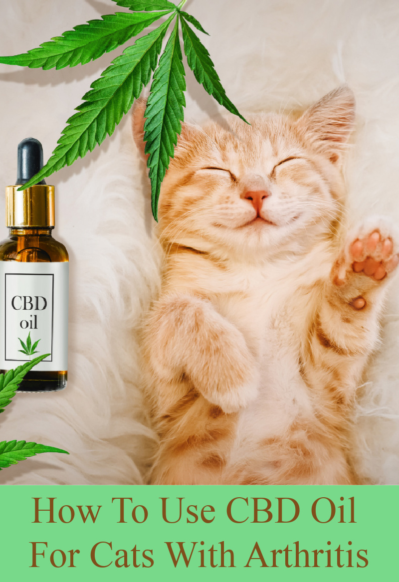 Quels sont les avantages de l'huile de CBD ?