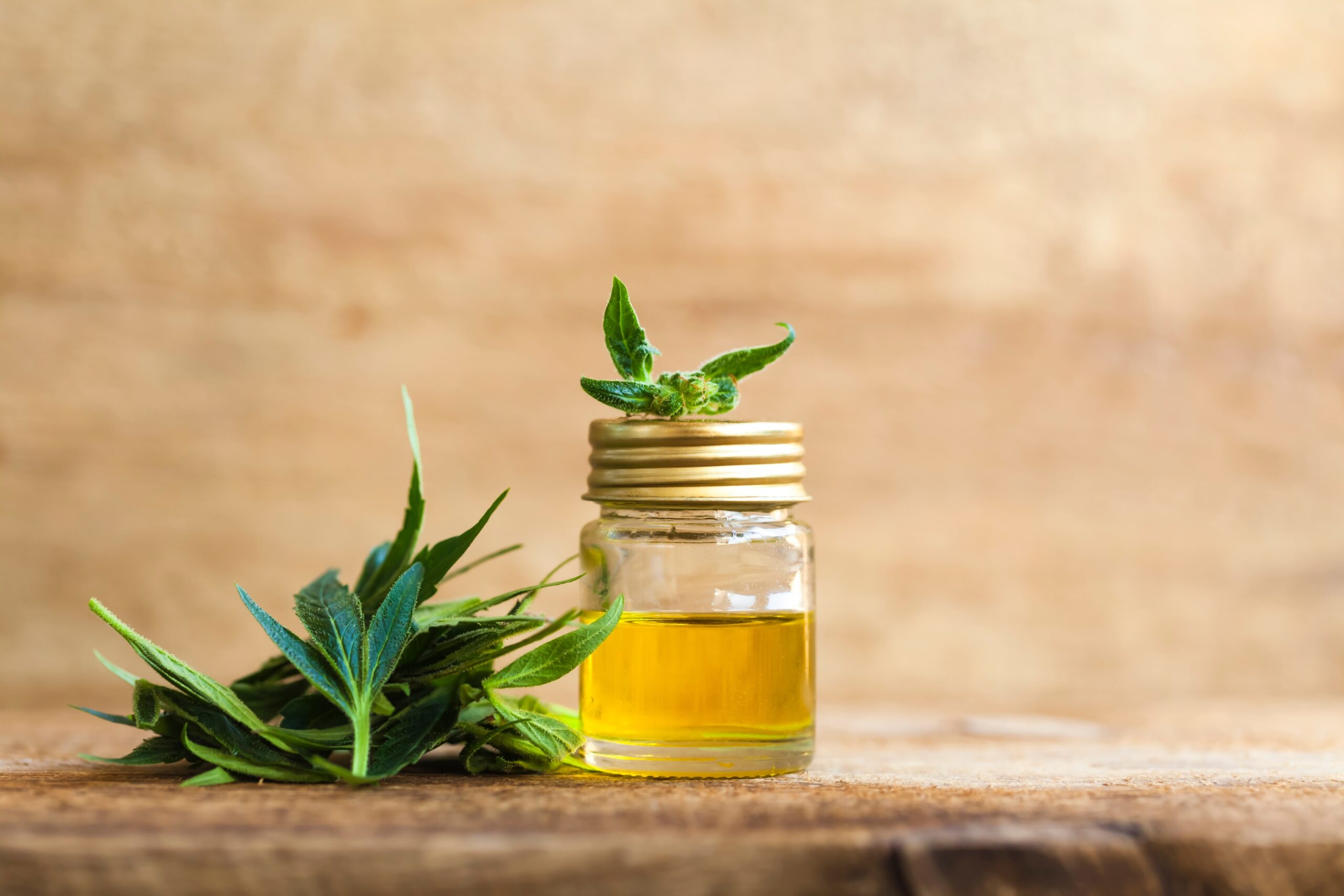 Comment consommer l'huile de CBD ?