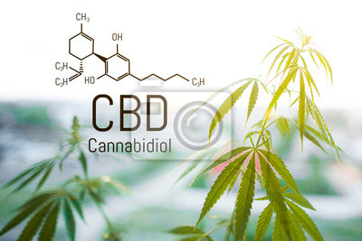 Comment savoir si c'est de la CBD ?