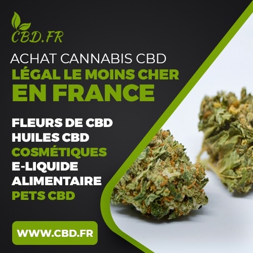 Quel CBD prendre pour l'arthrose ?