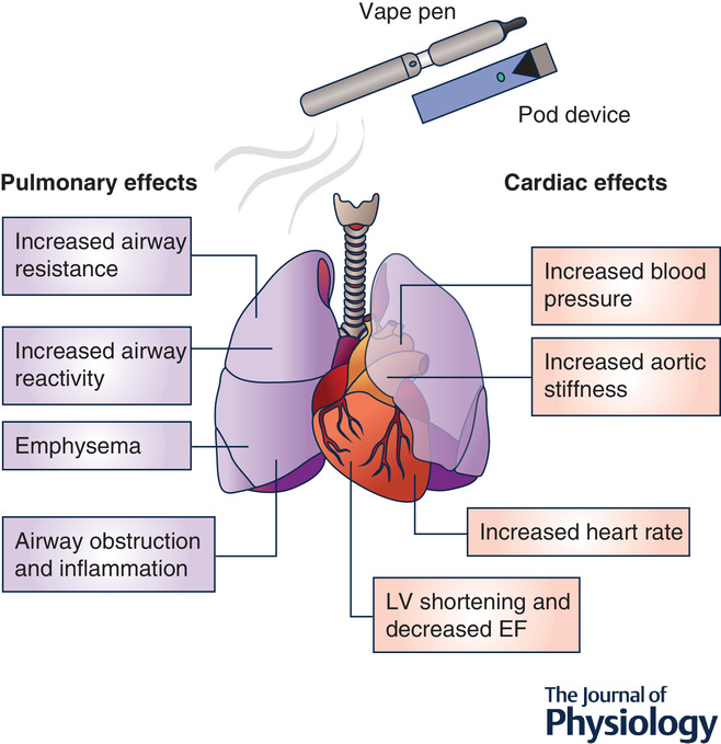 Quels sont les effets indésirables de la cigarette électronique ?