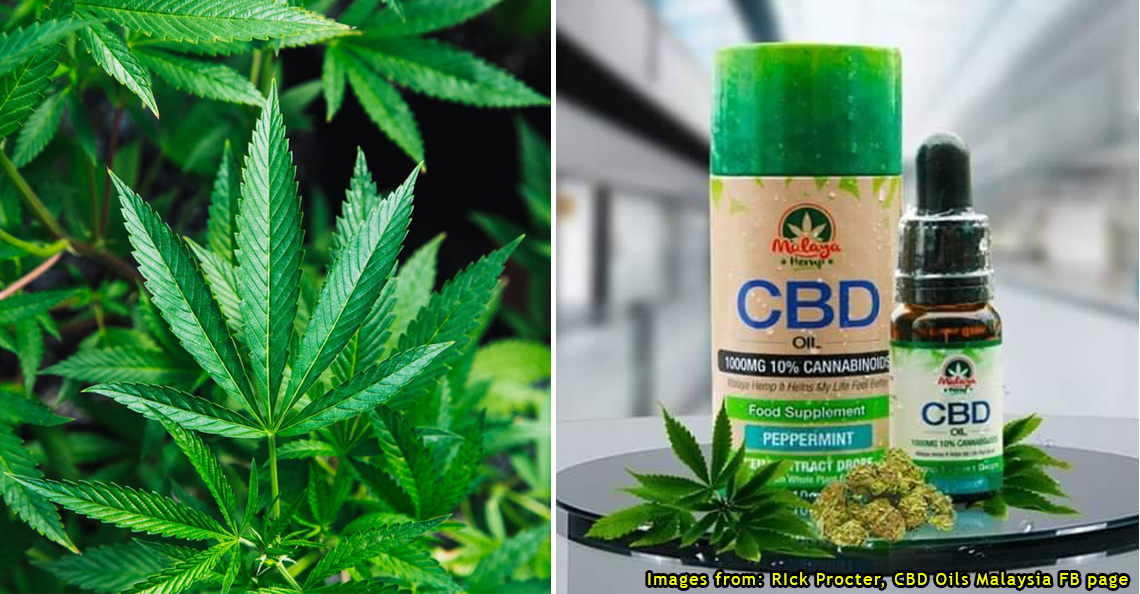 Où Peut-on se procurer du CBD ?