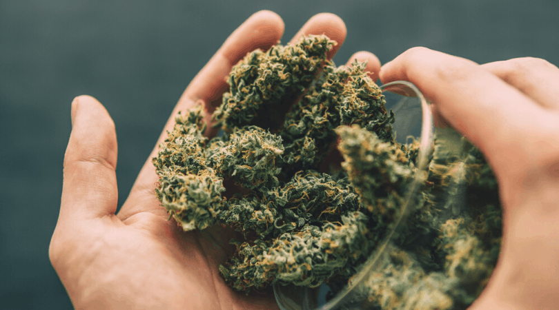 Comment consommer le CBD en fleur ?