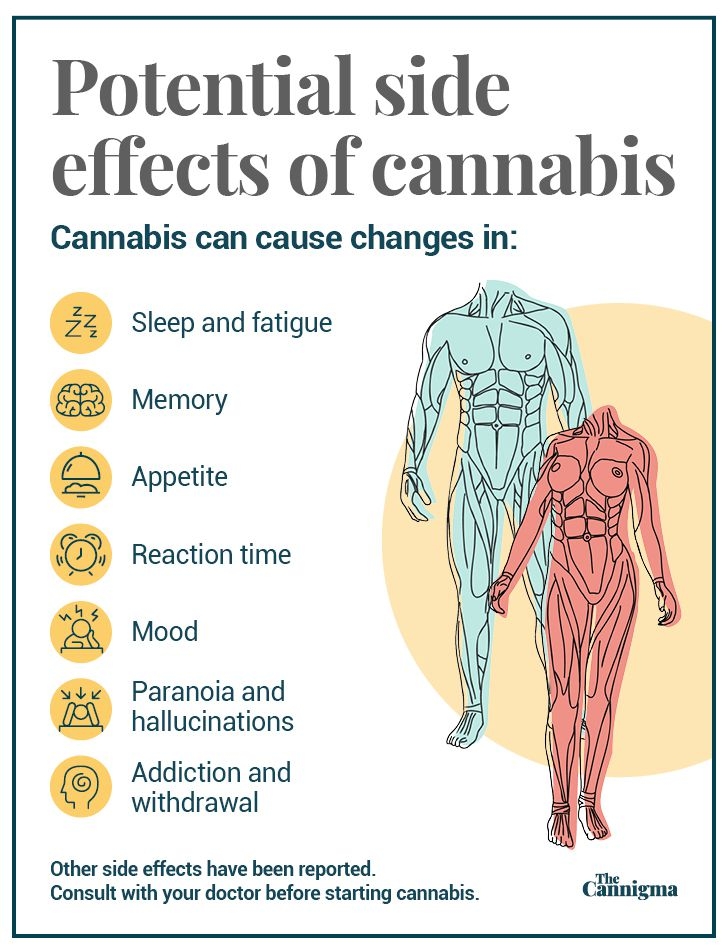 Pourquoi le CBD ne défonce pas ?