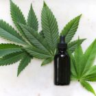 Quel maladie soigne le CBD ?