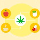 Qui ne peut pas prendre de CBD ?