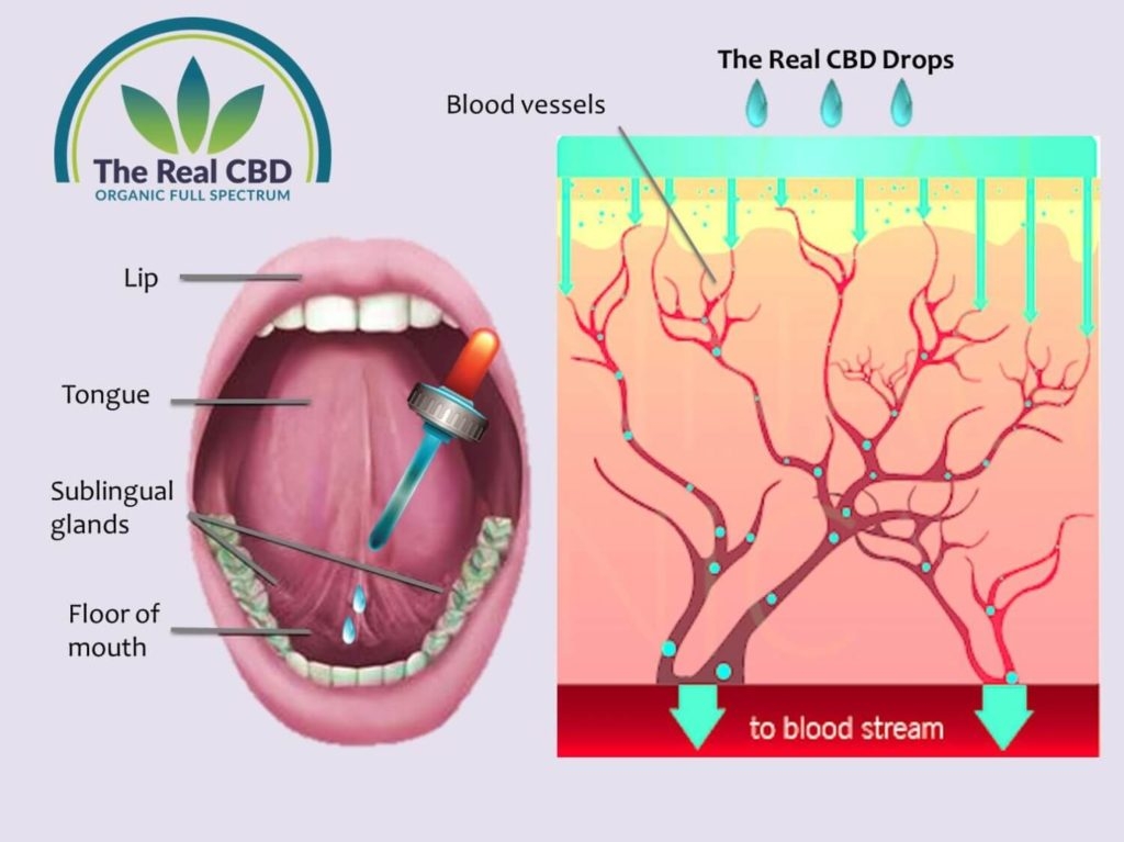 Quand Ressent-on les effets du CBD ?