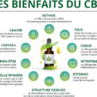 les-bienfaits-de-lhuile-de-cbd-pour-la-sante-et-le-bien-etre